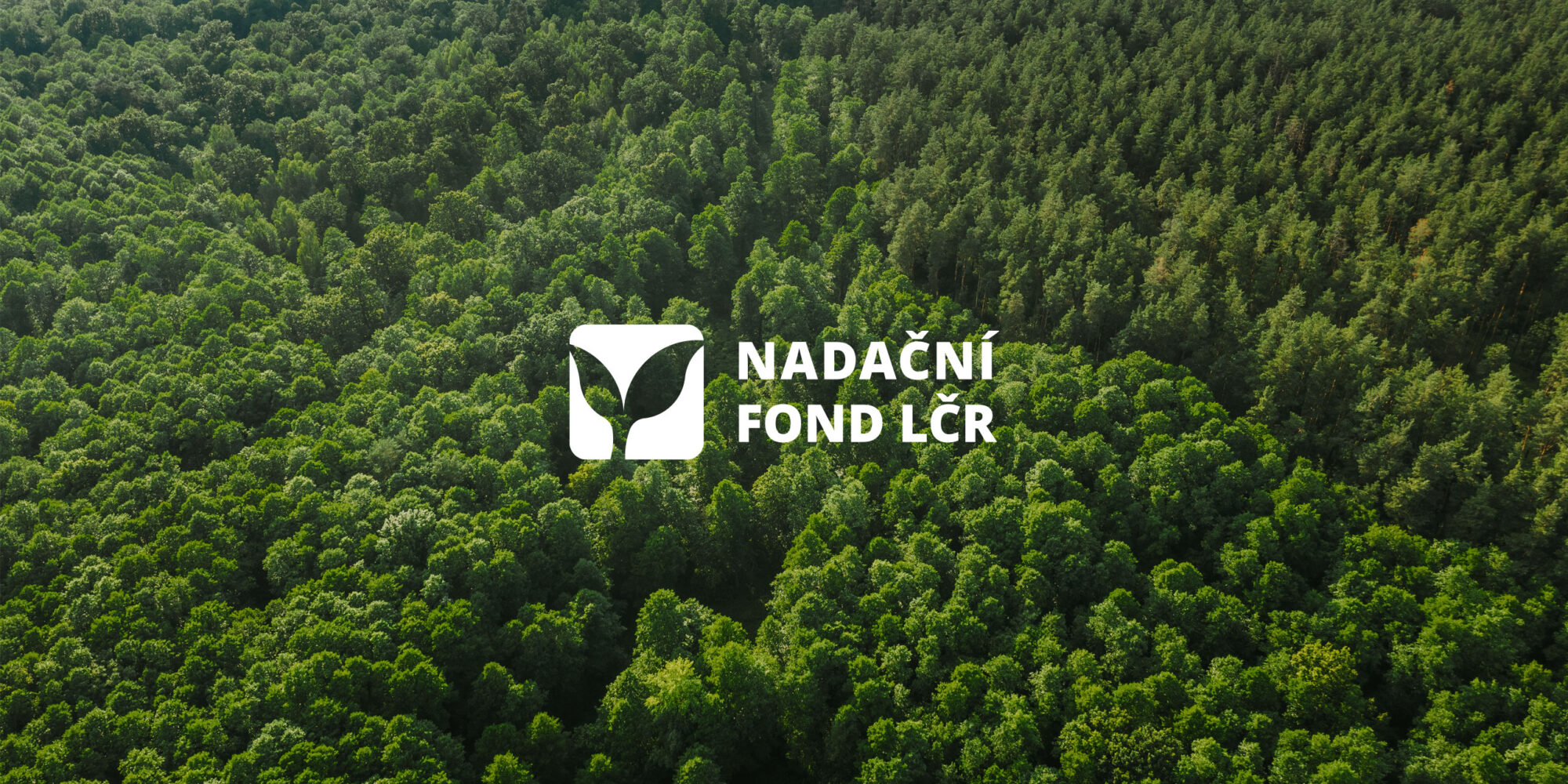 Branding Nadační fond Lesy České republiky