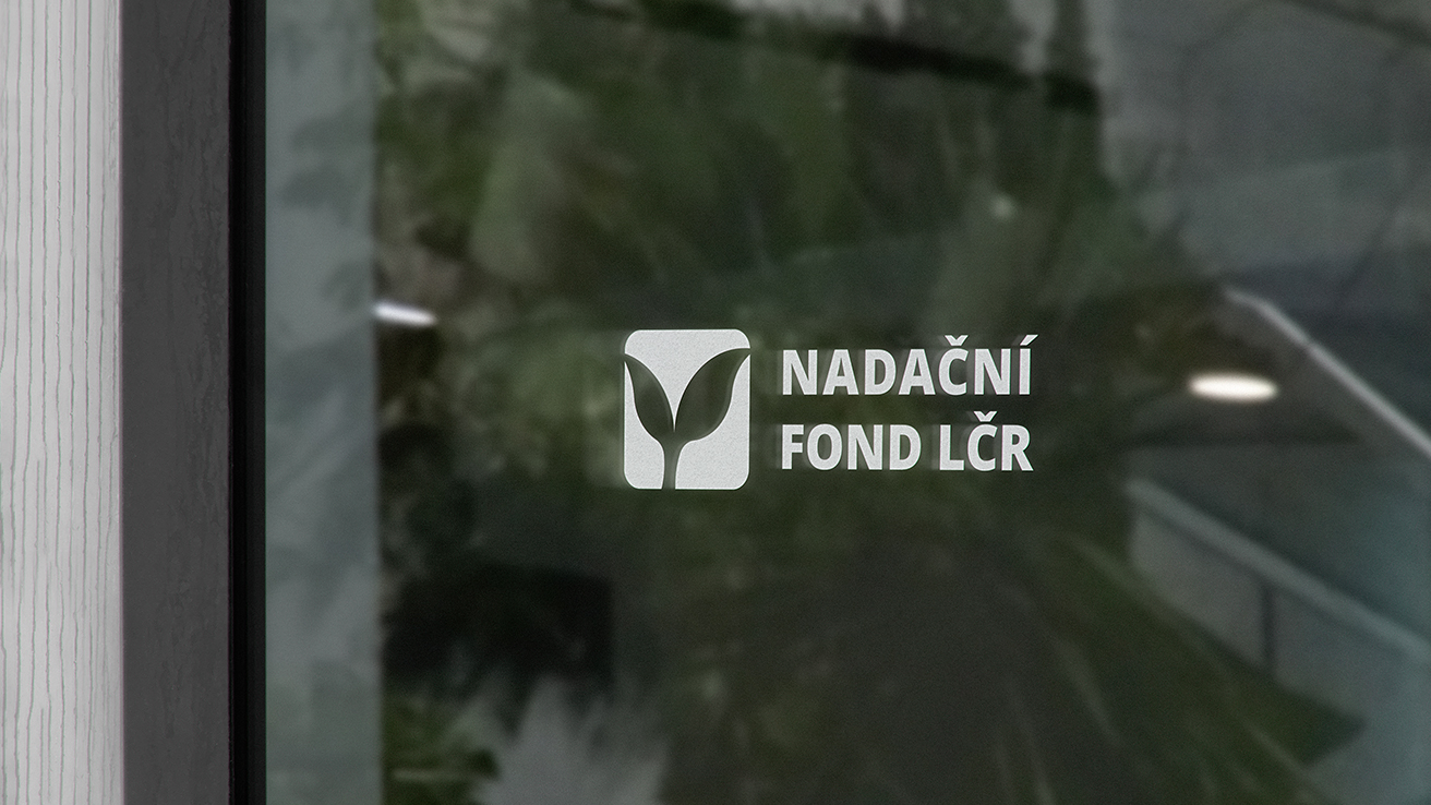 casestudy lesycr 001