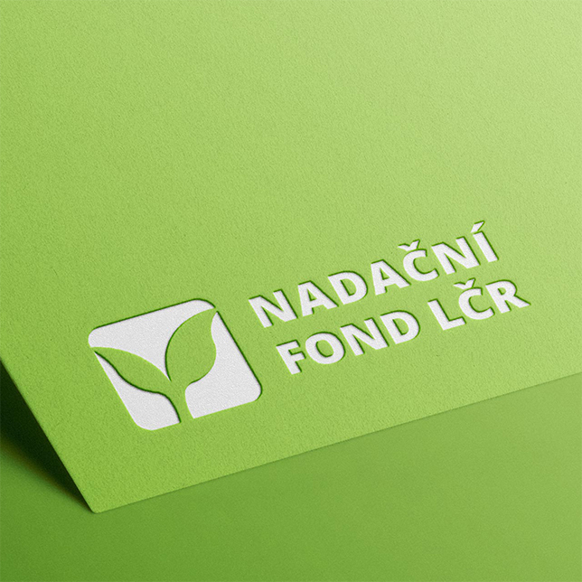 casestudy lesycr 005