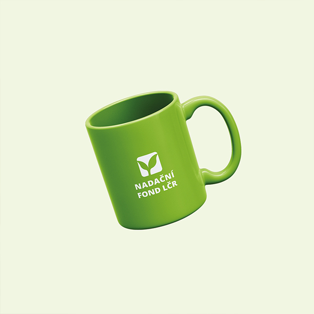 casestudy lesycr 007