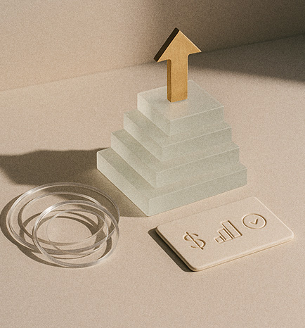 modestio service branding 005